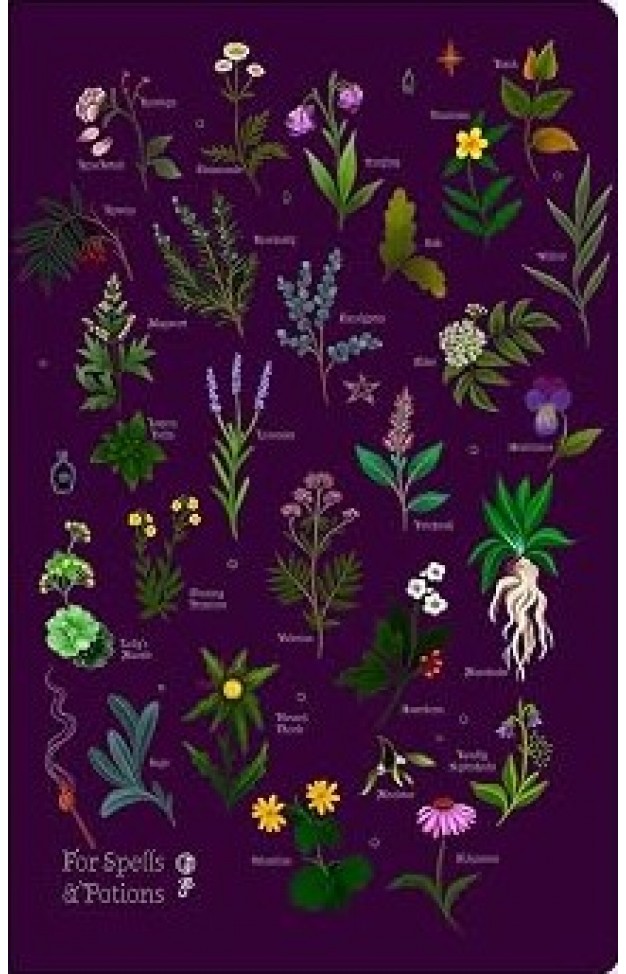 Anna Stead: For Spells & Potions